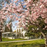 Parkhotel Jordanbad, Bild 7