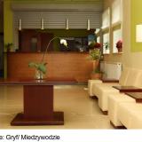 Gryf, Lobby