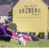 Erzberg Alpin Resort, Bild 1