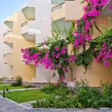 3 Sterne Hotel: Dedalos Beach, Skaleta, Kreta