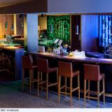 Grauer Bär, Bar
