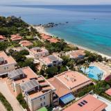 Ipomea Club, Bild 1