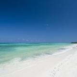 Karafuu Beach Resort, Bild 7