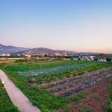 4 Sterne Hotel: ILIOS.K Village Resort, Tigaki, Kos