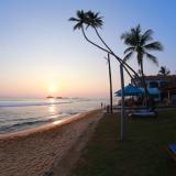 Lanka Supercorals, Bild 3