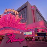 3 Sterne Familienhotel: Flamingo Las Vegas, Las Vegas, Nevada