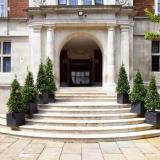 The Wellington by Blue Orchid Hotels, Bild 9