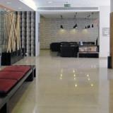 Lutecia, Lobby