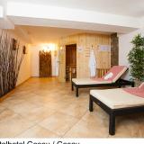 Vitalhotel Gosau, Bild 10