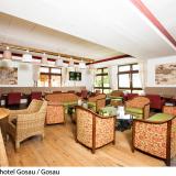 Vitalhotel Gosau, Lobby