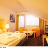 Vitalhotel Gosau, Wohnbeispiel