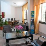 Koka, Lobby
