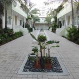 Dorchester Miami Beach Hotel & Suites, Bild 10
