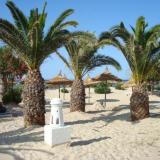 Eden Club, Bild 10