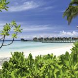 Centara Ras Fushi Resort, Bild 2