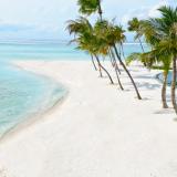 Barcelo Whale Lagoon Maldives, Bild 3