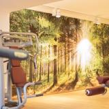 Thermenhotel Apollo, Bild 7