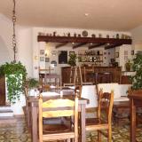 3 Sterne Hotel: Don Pedro, Ischia Stadt, Ischia