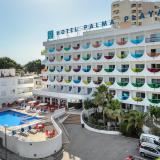 Vibra Palma Cactus, Bild 1