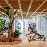 Zel Mallorca, Bild 10