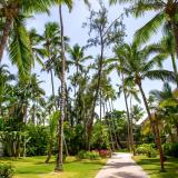 Impressive Punta Cana, Gartenanlage