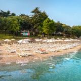 Hotel Pineta, Bild 2