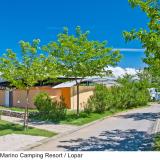 San Marino Camping Resort by Valamar, Bild 3