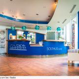 Solthus am See, Rezeption