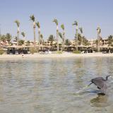 Jaz Solaya Marsa Alam, Bild 8