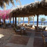 Tamra Beach Resort, Bild 2