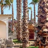 Bonita Luxury Resort, Bild 10