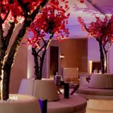 Maritim Resort Marina Bay, Bild 9
