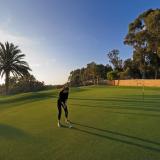Tikida Golf Palace, Sport