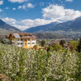 Landhaus Hotel Kristall, Bild 7
