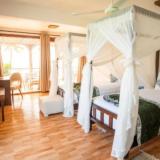 Dream of Zanzibar, Bild 7