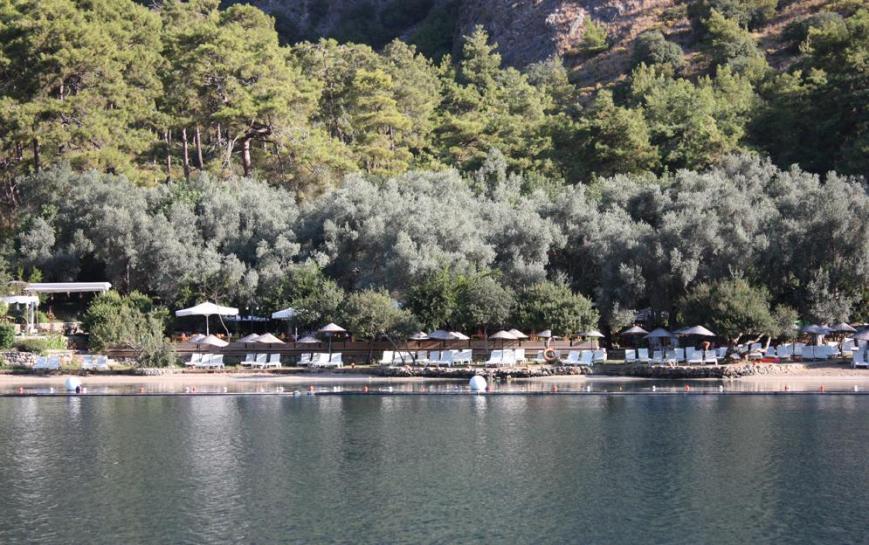 4 Sterne Hotel: Manas Park Ölüdeniz - Fethiye, Türkische Ägäis, Bild 5