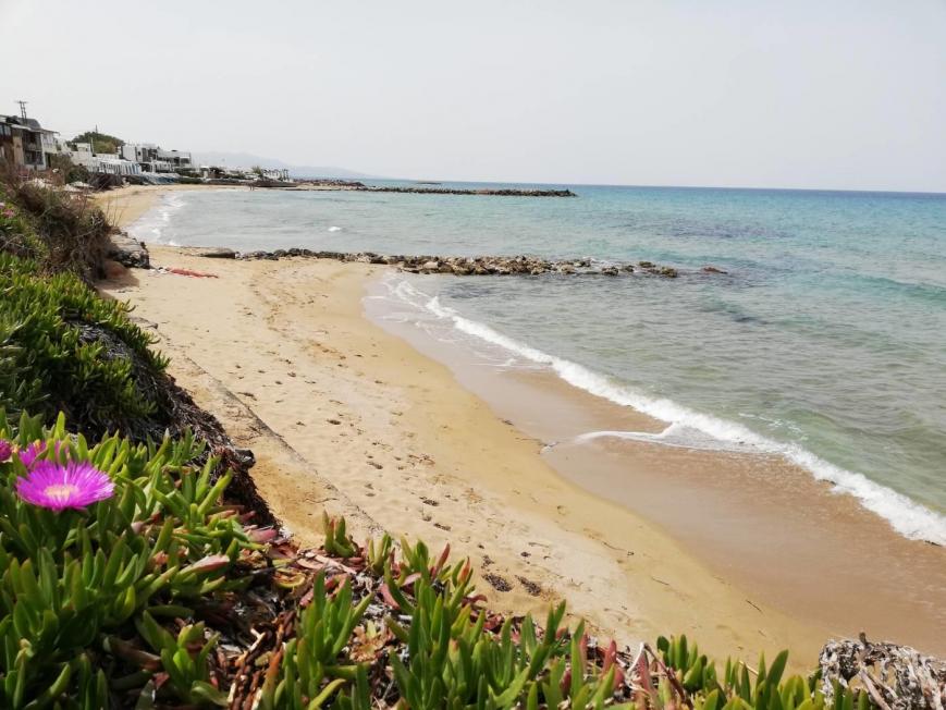 3 Sterne Hotel: Almare Beach - Kokkini Hani, Kreta