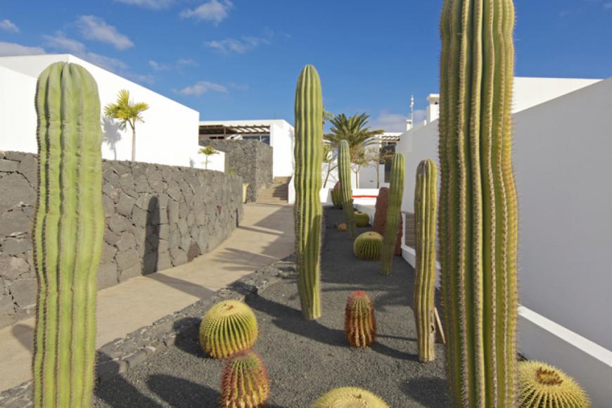 4 Sterne Hotel: Dream Bocayna Village - Playa Blanca, Lanzarote (Kanaren), Bild 10