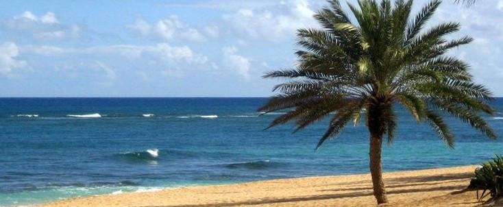 3 Sterne Hotel: Occidental Puerto Banus - Puerto Banus, Costa del Sol (Andalusien), Bild 7