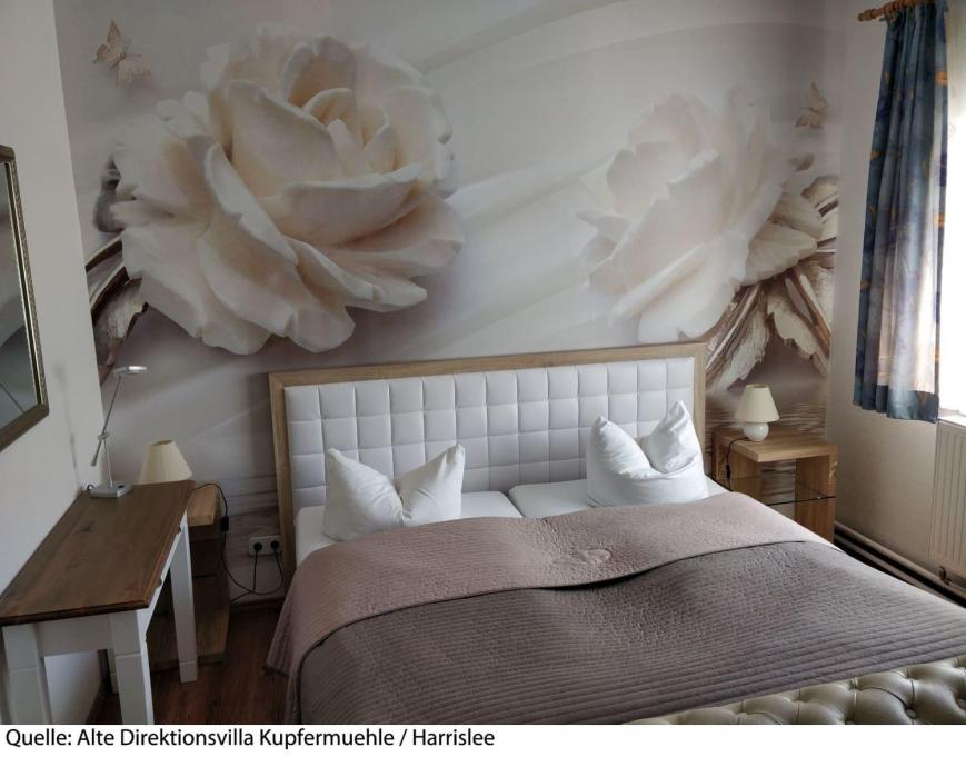 1 Sterne Hotel: Alte Direktionsvilla Kupfermühle - Harrislee, Schleswig-Holstein, Bild 4