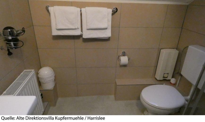 1 Sterne Hotel: Alte Direktionsvilla Kupfermühle - Harrislee, Schleswig-Holstein