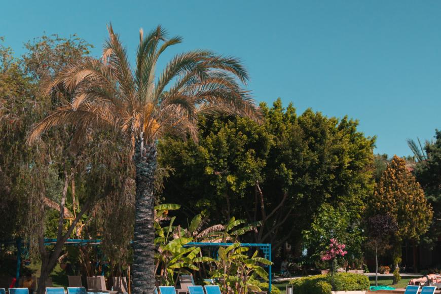 5 Sterne Familienhotel: Süral Resort - Side, Türkische Riviera, Bild 3