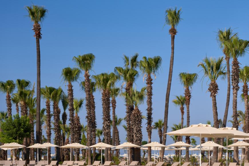 5 Sterne Familienhotel: Paloma Grida - Belek, Türkische Riviera, Bild 9