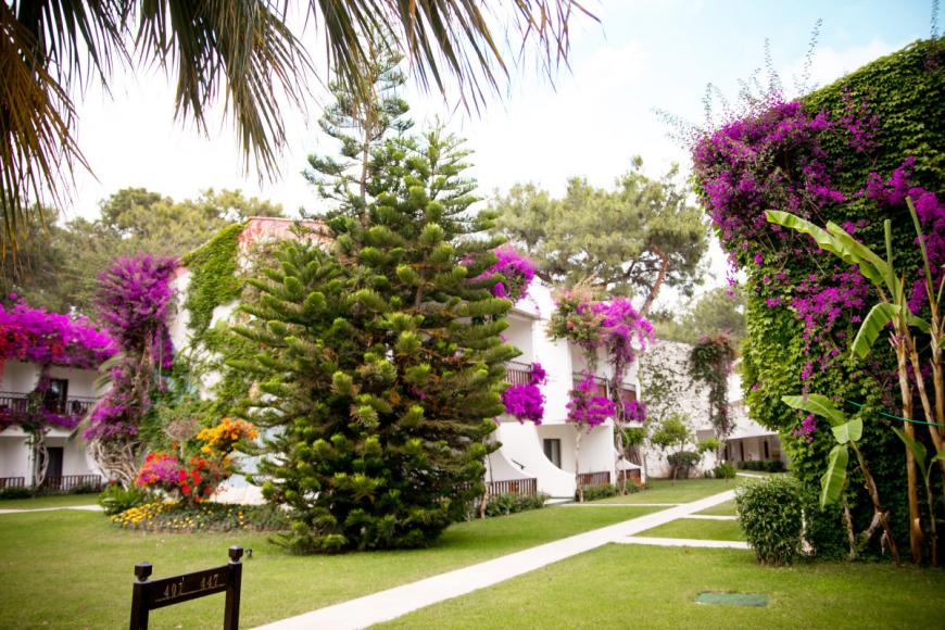 4 Sterne Familienhotel: Club Boran Mare Beach - Kemer, Türkische Riviera, Bild 7