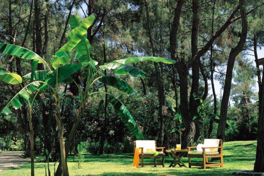 4.5 Sterne Hotel: Marti Myra - Kemer - Tekirova, Bild 9