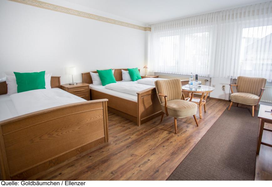 2 Sterne Hotel: Ellenzer Goldbäumchen - Ellenz-Poltersdorf, Rheinland-Pfalz, Bild 4