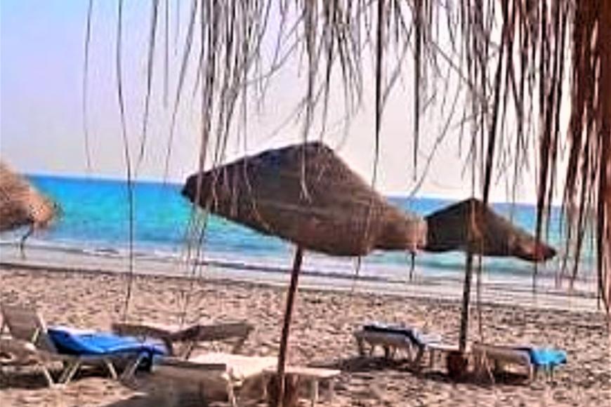 3 Sterne Hotel: Zenon Hotel Djerba - Djerba, Insel Djerba, Bild 9