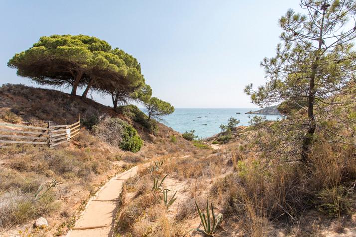 3 Sterne Familienhotel: Alfagar Village - Albufeira, Algarve, Bild 8