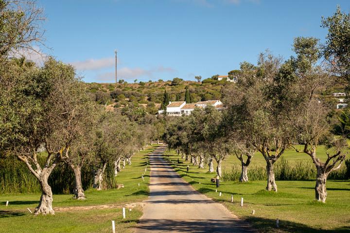 4 Sterne Hotel: Vila Valverde - Lagos, Algarve, Bild 4