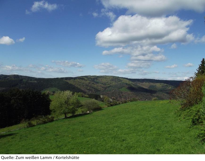 3 Sterne Hotel: Zum weissen Lamm - Kortelshütte, Hessen, Bild 6